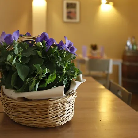 Inn Trattoria San Rocco