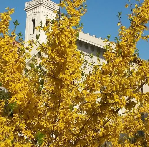Trattoria San Rocco Kro Altare