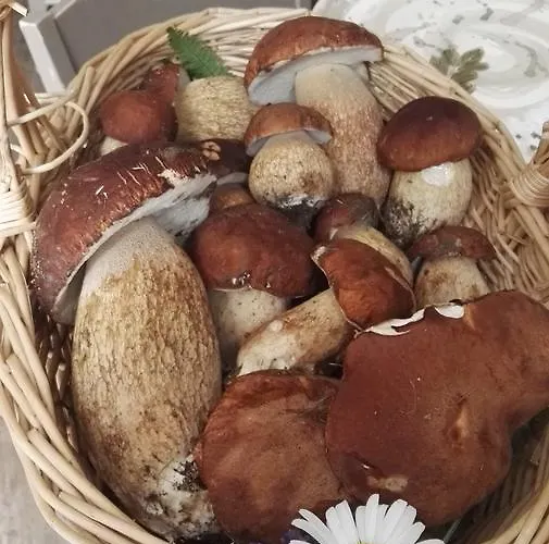 Trattoria San Rocco Kro Altare